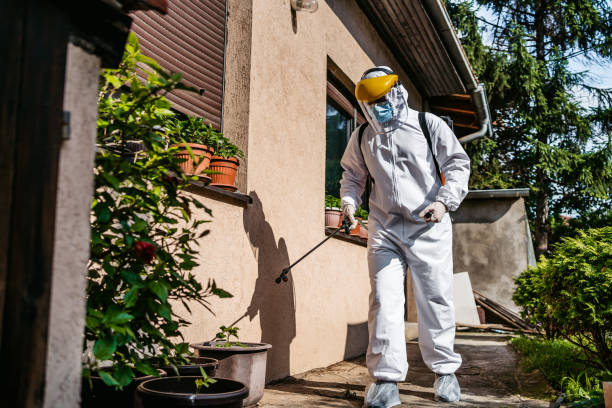 Best Pest Control Near Me in Somonauk, IL