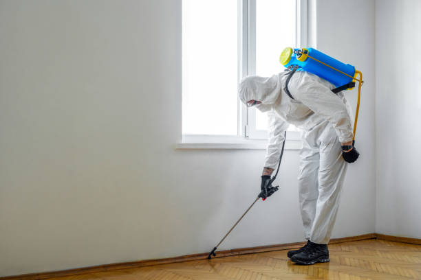 Best Bed Bug Extermination  in Somonauk, IL