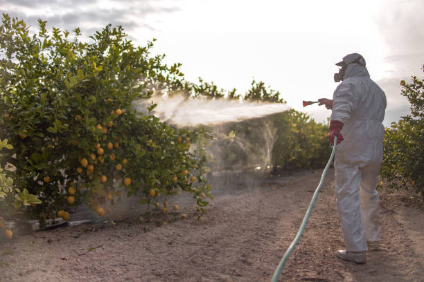 Best Insect Control  in Somonauk, IL