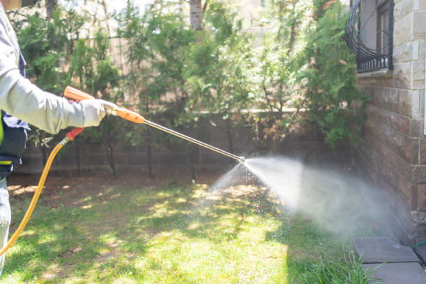 Best Wasp Removal Services  in Somonauk, IL