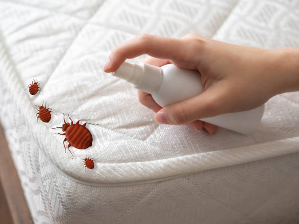 Best Affordable Exterminators  in Somonauk, IL