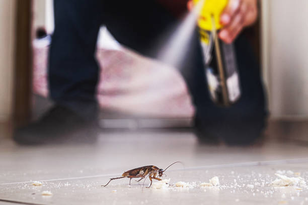 Best Mosquito Control Services  in Somonauk, IL