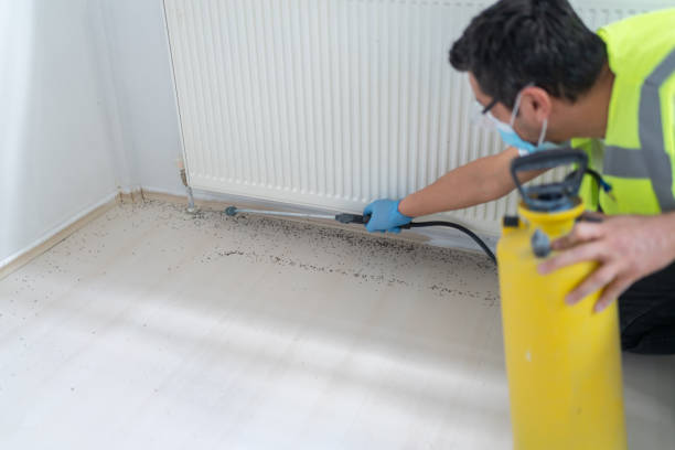 Best Emergency Pest Control  in Somonauk, IL