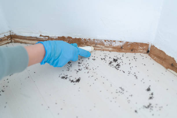 Best Best Pest Control Companies  in Somonauk, IL