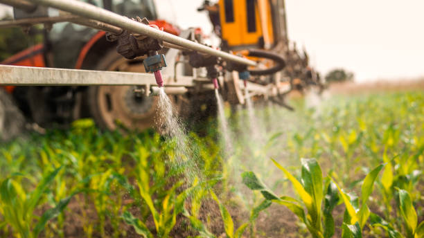 Best Wildlife Control Services  in Somonauk, IL